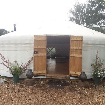 Plush Tents Yurt Village Chichester Exterior photo