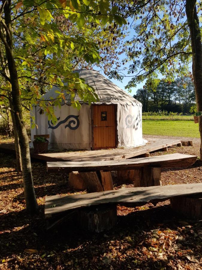 Plush Tents Yurt Village Chichester Exterior photo