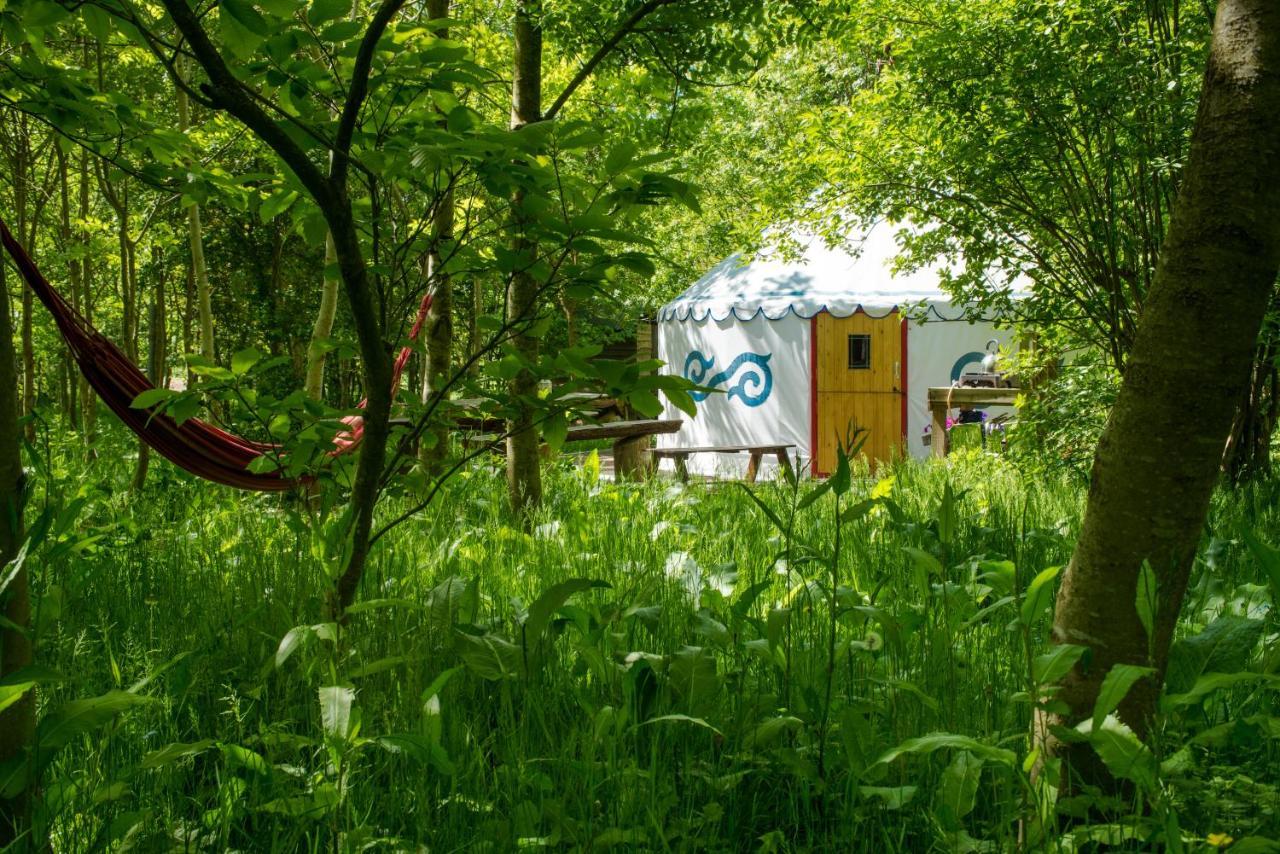 Plush Tents Yurt Village Chichester Exterior photo