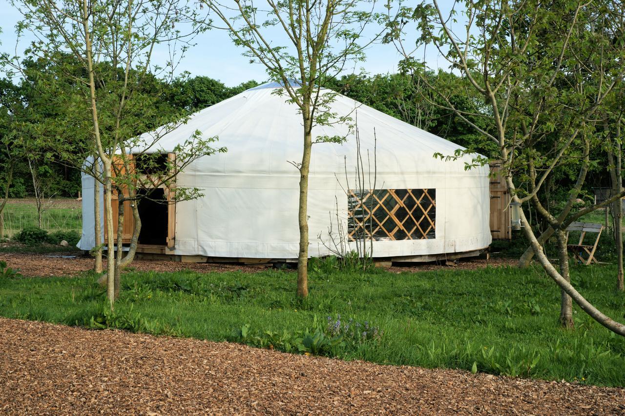 Plush Tents Yurt Village Chichester Exterior photo