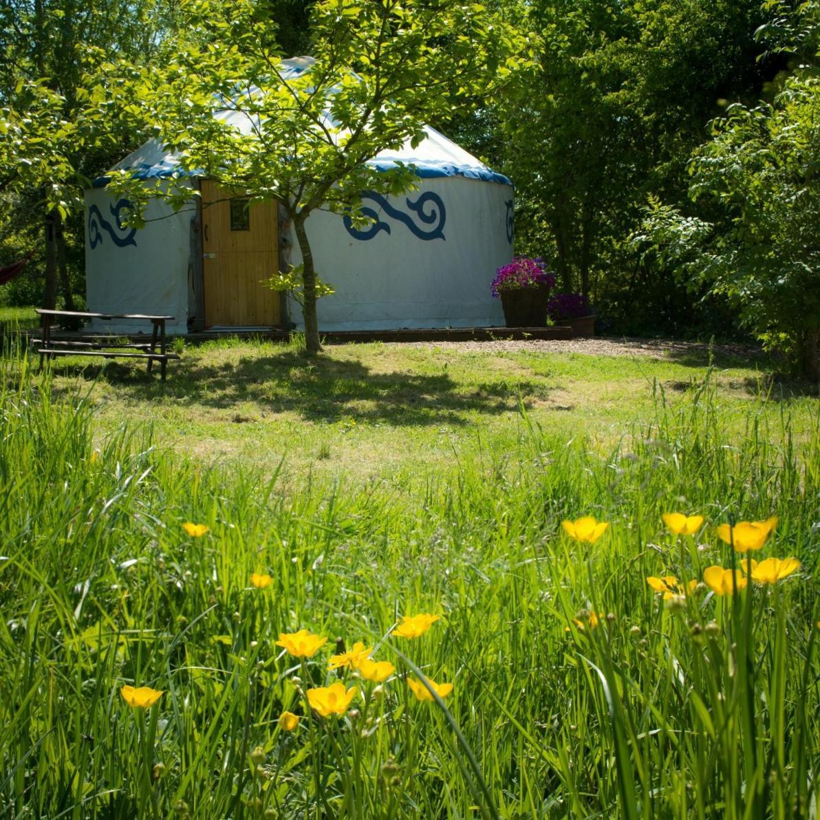 Plush Tents Yurt Village Chichester Exterior photo